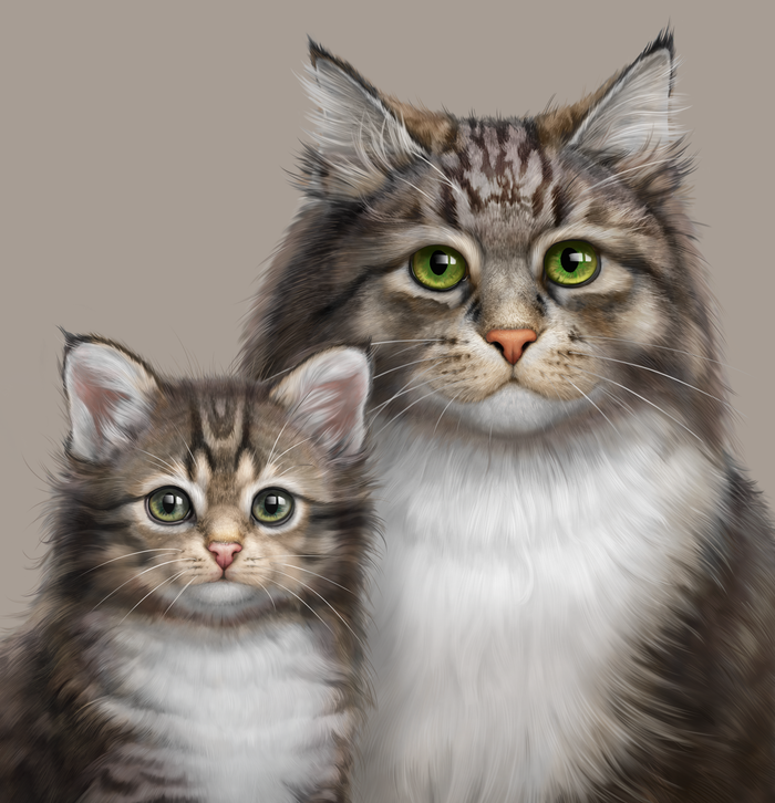 Иллюстрация для упаковки кошачьего корма