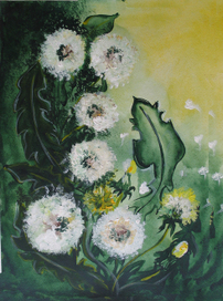 одуванчики 