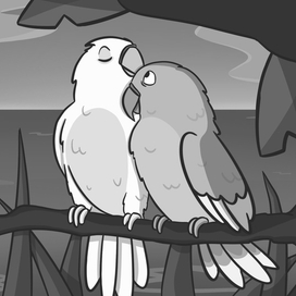 Животные Попугаи