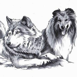 Молниеносный. 8-0