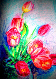 Тюльпаны