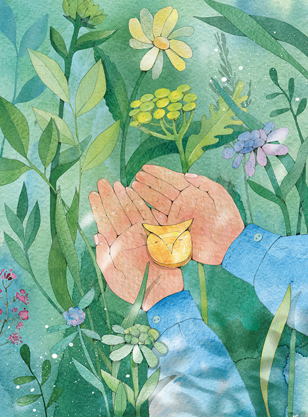 "Совиный волк"