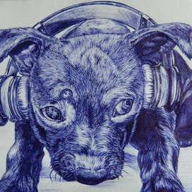 В порыве музыки