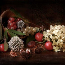 Осенние плоды