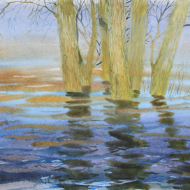 Деревья в воде