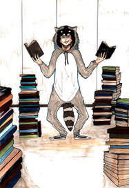 Будни одного енота