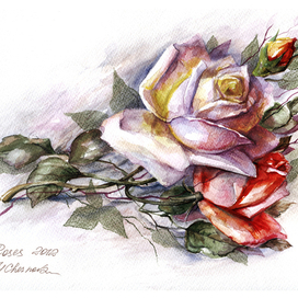 Розы декоративные