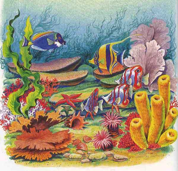 Иллюстрация