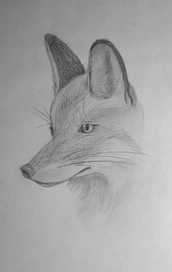 Рисунки карандаш