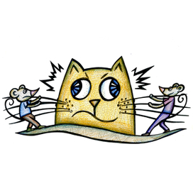 Кошки-мышки