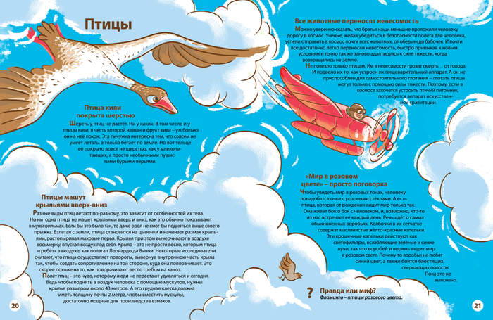 Разворот про птиц