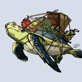 Черепаха путешественница