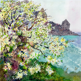 Цветение.Слива.