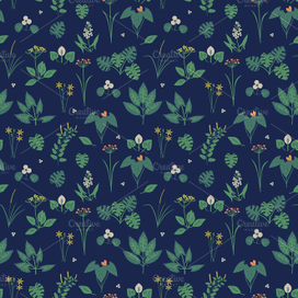 Частухоцветные