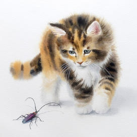 Любопытный котёнок