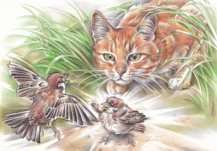 Воробьишко