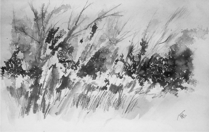 Зацвело на хуторке Деда Галушки