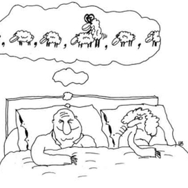 для www.best-carton.spb.ru