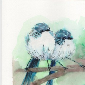 Птички из тиктока