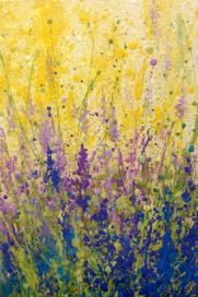 Полевые цветы