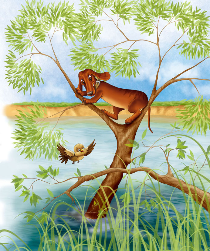 охота! (и рыбалка)