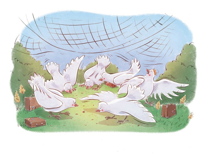 Голубки попались