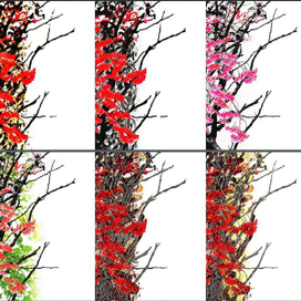 Поиск бэкграунда для плаката «Калина-джаз»