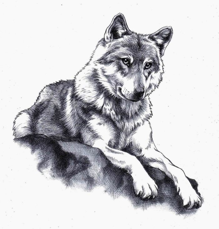 Молниеносный. 0-0