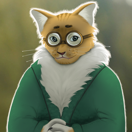 Умный котик