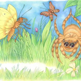 Сказка про паучка