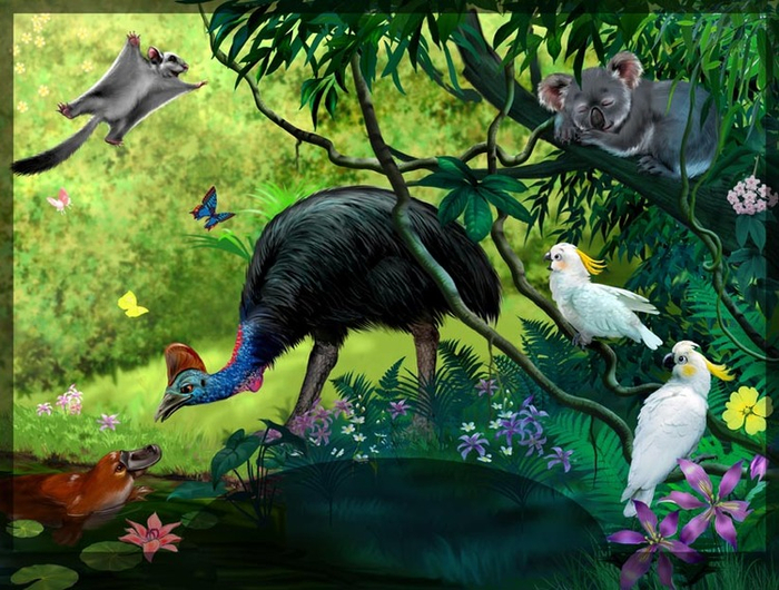 Джунгли Австралии