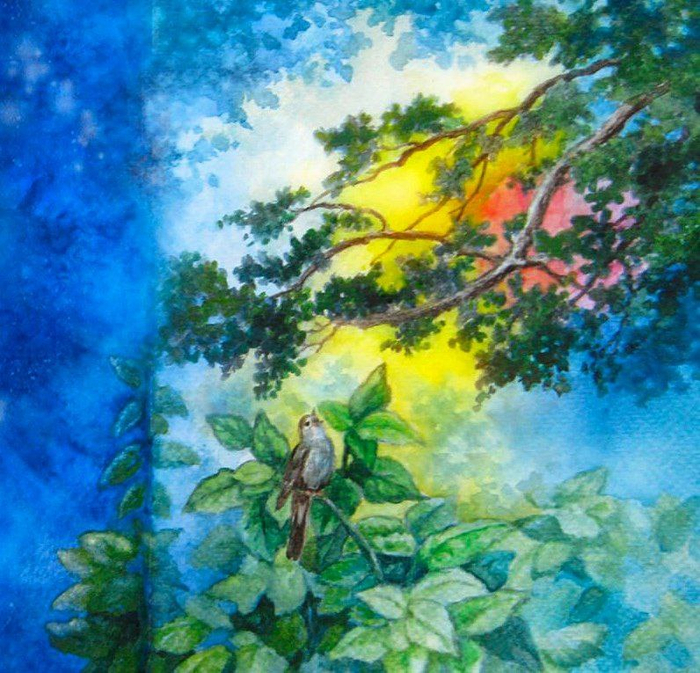 Закаты, рассветы и песнь соловья 