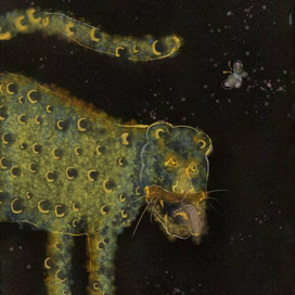 Волшебство ночи