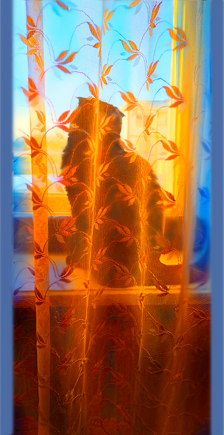 Встречая рассвет