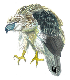 Обезьяноед