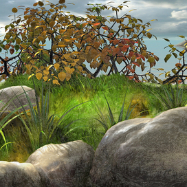 Лужайка, освещенная солнцем