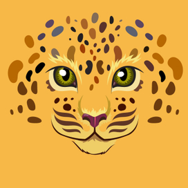 Сафари. Леопард.