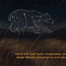 Большая медведица 