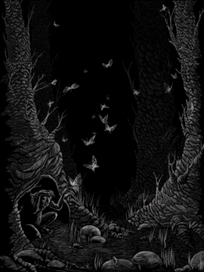 (без названия)