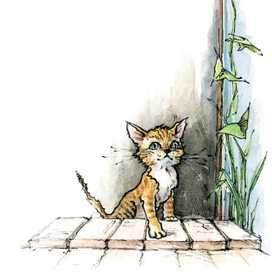 котенок вышел из подвала