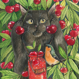 Чёрный кот и новые серёжки