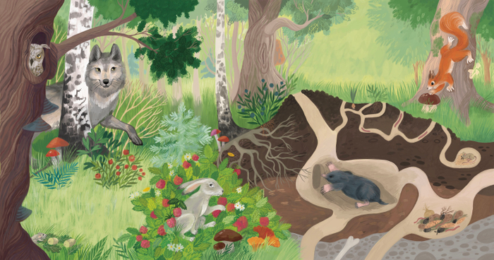 Кто где живёт. Издательство Робинс