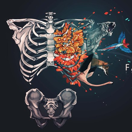 Обратная сторона визитки