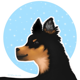 Великолепный Чичи