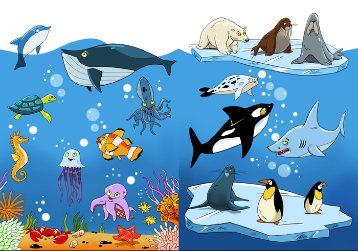 Подводный Мир