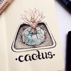 Cactus