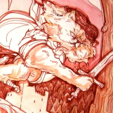 Кот шотландец