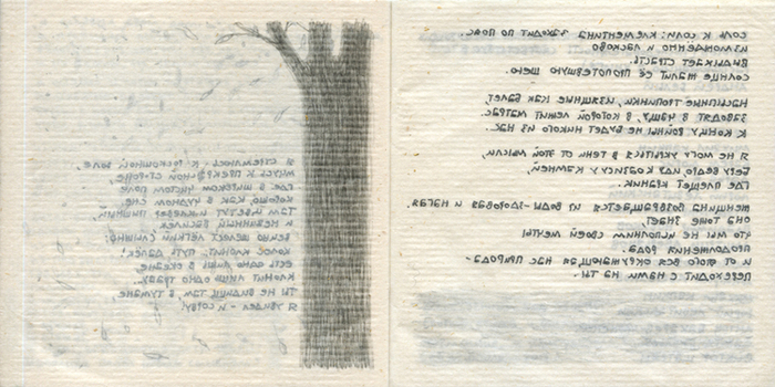 Книга «Естественный ход вещей» 2013