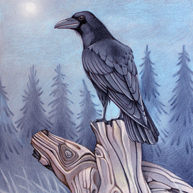 Туманное утро