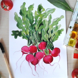 весенняя редисочка